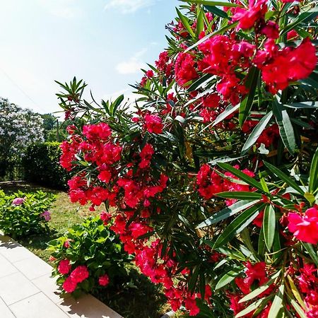 Villa Luka Malinska Luaran gambar